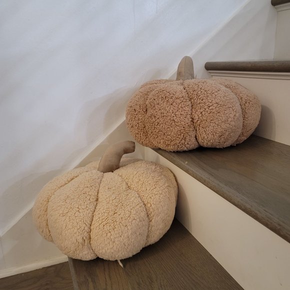 Warm and Cozy NWOT tan and cream plush pumpkin set pillow plush - Picture 7 of 9